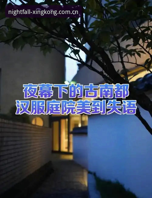 资深用户实战分享：夜幕计划旧版闪退修复的那些坑与经验
